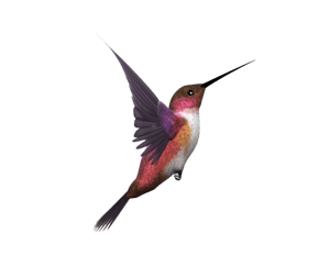 Interlaced bird Interlaced bird